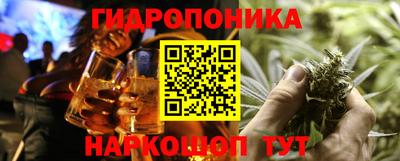 apvp Кандалакша