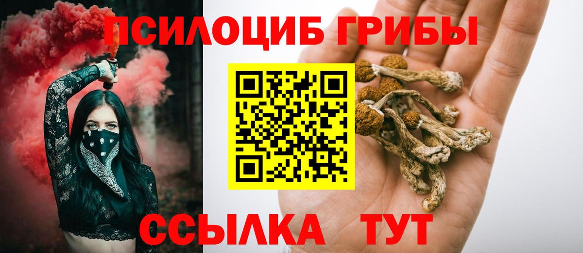 Псилоцибиновые грибы MAGIC MUSHROOMS  Вход с VPN  Лянтор 